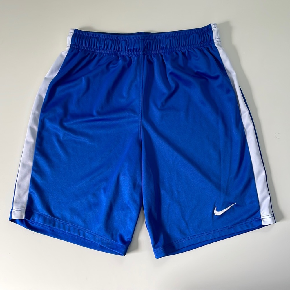 Nike Dri-Fit Shorts